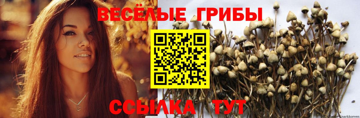Тверь  Галлюциногенные грибы прущие грибы  закладки  Вход с VPN 