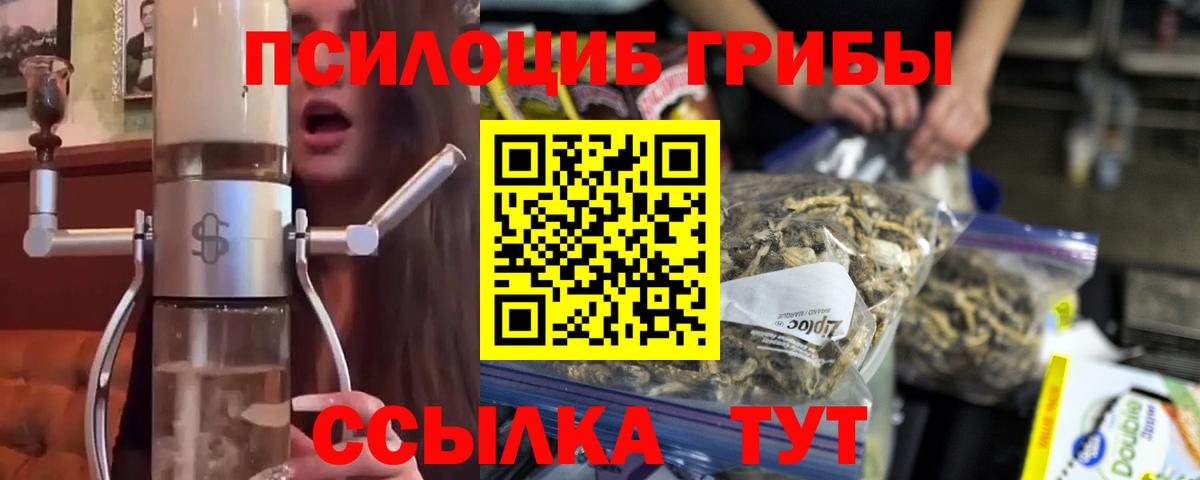 Галлюциногенные грибы Cubensis Тверь